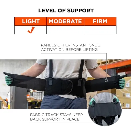 Ergodyne ProFlex 1650 Back Support Belt Review image 3
