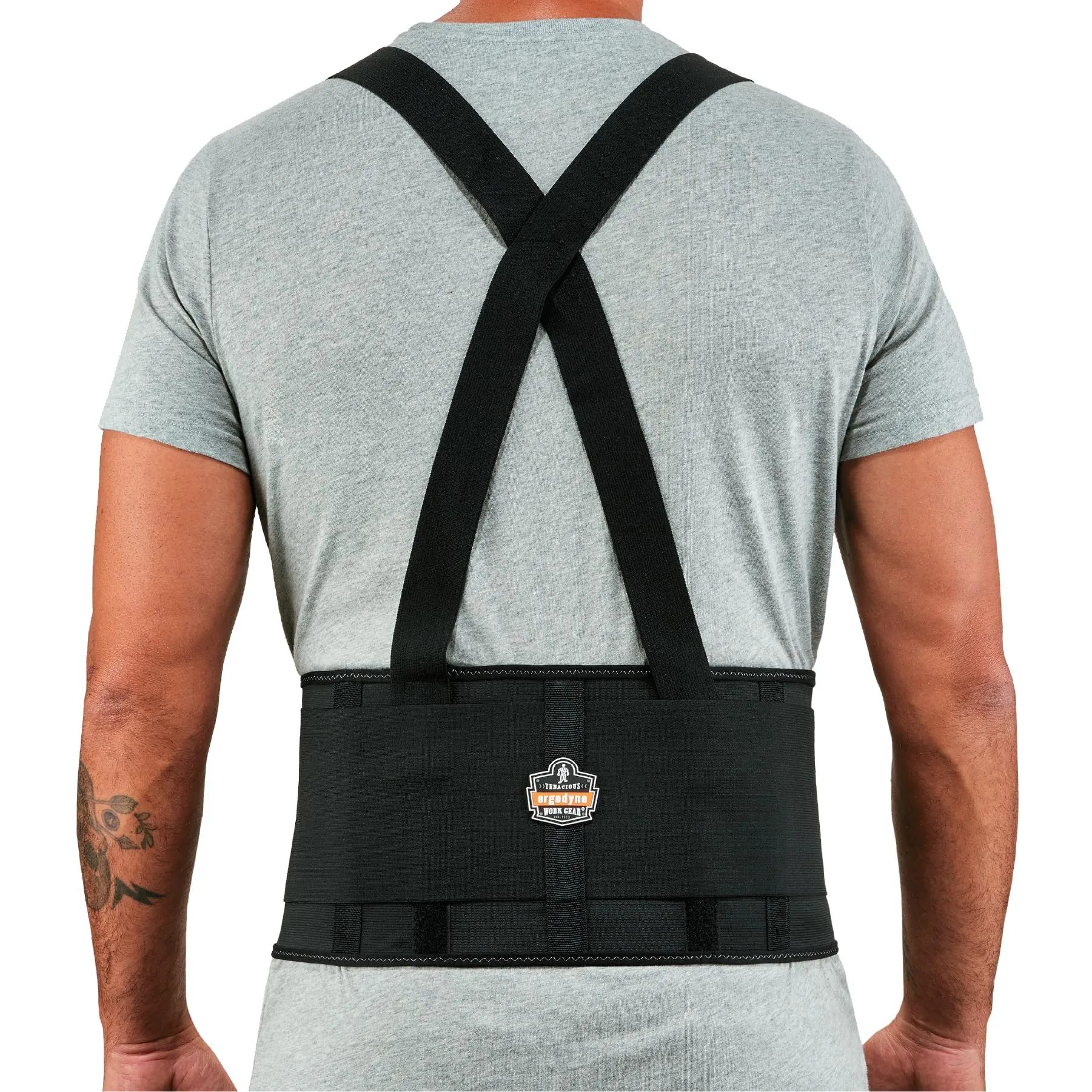 Ergodyne ProFlex 1650 Back Support Belt Review image 8