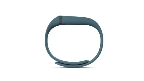 Fitbit Flex Review: Activity and Sleep Wristband image 2