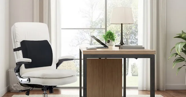 LOVEHOME Lumbar Pillow Review: Office and Car Back Support image 8