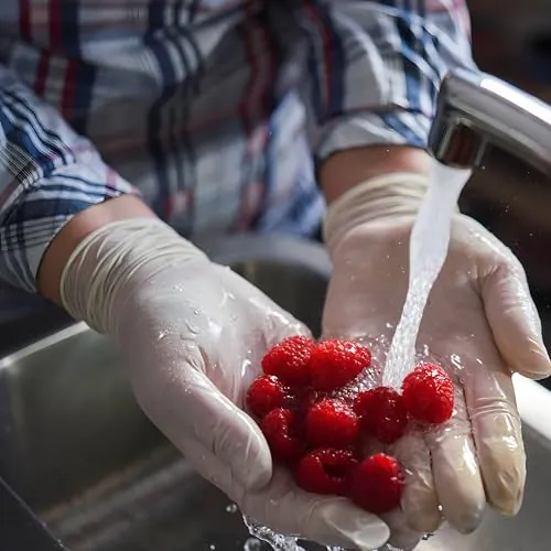 SAFEGUARD Latex Gloves Review: Powder-Free Food Service Gloves image 3
