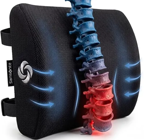 Samsonite Lumbar Support Pillow Review for Office Use image 2
