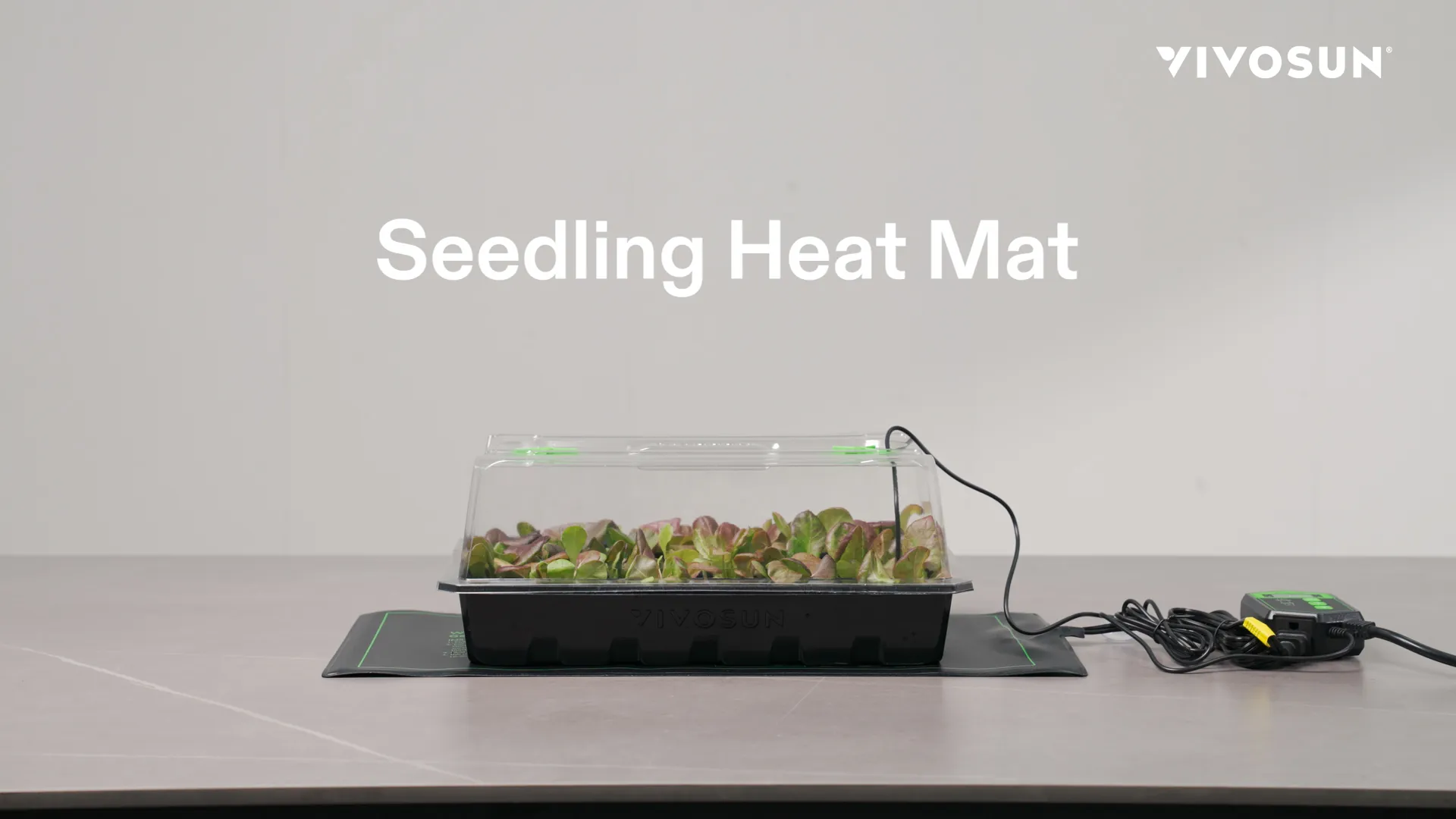 VIVOSUN Seedling Heat Mat Review: Thermostat Combo image 8