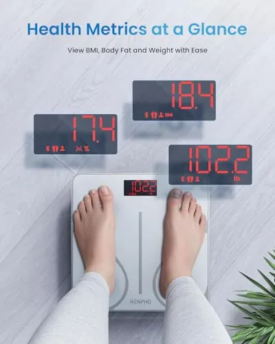 RENPHO Smart Scale Review: Body Weight and App Tracking image 2
