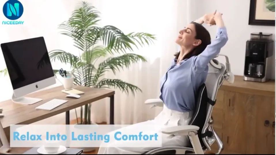 Niceeday Lumbar Support Pillow Review: Office and Car Use image 8