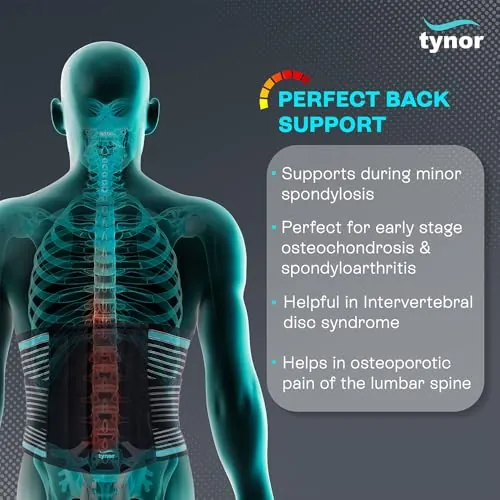 TYNOR Back Support Belt Review: Lumbar Support Belt image 2