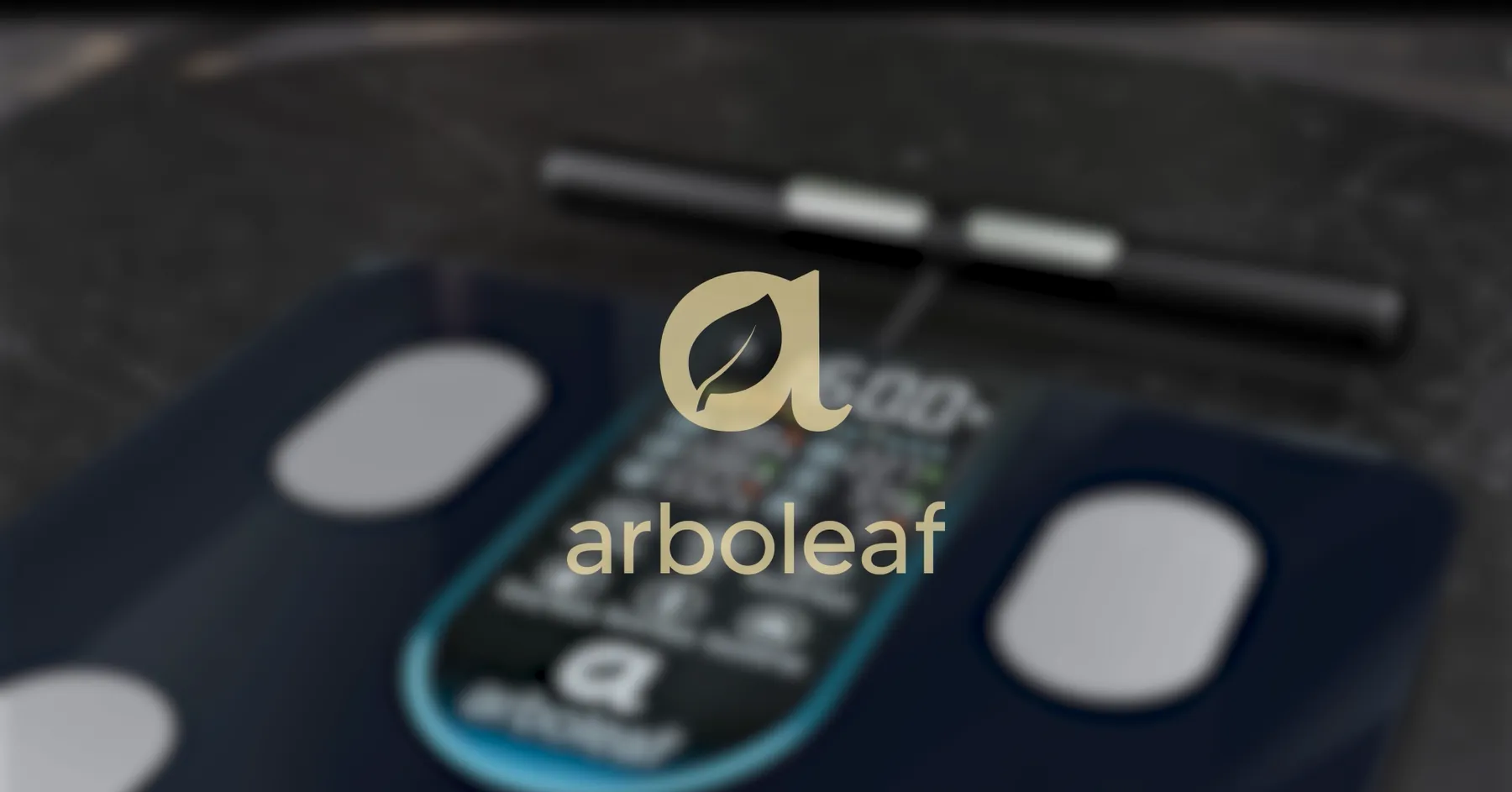Arboleaf Smart Scale Review: Body Composition Tracking image 7